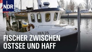 Zwischen Ostsee und Haff  Vom Überlebenskampf der letzten Fischer  Die Nordreportage  NDR [upl. by Ogaitnas330]