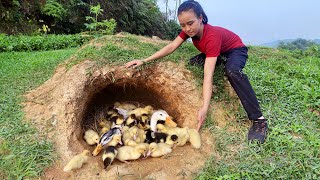 Build a duck nest to hatch baby duck  Ducklings hatch from eggs  Harvest bamboo shoots to sell [upl. by Meda]