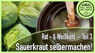 Sauerkraut ganz klassisch selber machen  Rot und Sauerkraut Teil 3 [upl. by Ball]