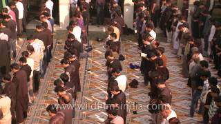 Shia muslims perform rituals of Muharram at Shia Jama Masjid [upl. by Fiorenza]