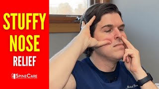 How to Instantly Relieve Sinus Congestion in the Nose [upl. by Eilhsa]