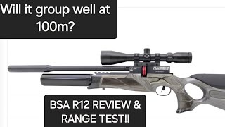 EP 4 BSA R12 CLX Airgun review and range test out to 100m [upl. by Fifi]