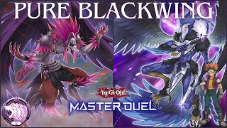 My Pure Blackwing Deck in 2024 Ranked Gameplay And Deck Profile YuGiOh Master Duel [upl. by Adev]