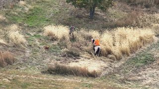 WKFTC NBHA Fall Trial Drone Footage [upl. by Ailahs]