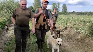 Polowanie na kaczki Klubu PSM PZŁ LufaampCzok Polski Spaniel MyśliwskiPolish Hunting Spaniel [upl. by Joel]