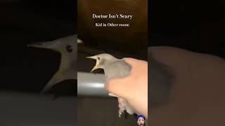 Bird screaming meme trending funny memes [upl. by Adamo]