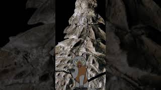 The Incredible Nodosaur Fossil Find biology animals fossils science dinosaur [upl. by Nylrehc]