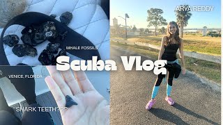 Scuba Shark Tooth Dive Venice Florida 4K [upl. by Annerol26]