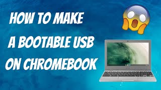 How To Make A Bootable USB On Chromebook [upl. by Swartz]