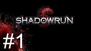 Roll4It Shadowrun 50 Tabletop  Part 1  The Meet Roll4It Shadowrun Stream [upl. by Tybi]