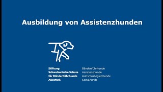 Ausbildung von Assistenzhunden – Ausziehen der Schuhe [upl. by Idou483]