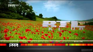 RTL Klub HD Hungary Spring Idents 2013 hd1080 [upl. by Longley815]