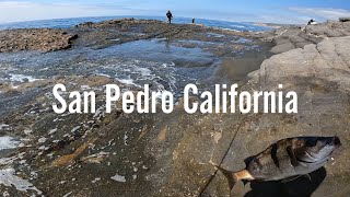 San Pedro California [upl. by Etnemelc]