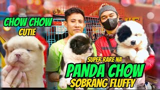 Arranque Pet Market Part 2  July 14 2023  Recto Manila [upl. by Anivle]