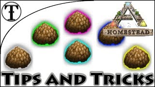 Fast Kibble Rework Guide  Ark  Survival Evolved Tips and Tricks [upl. by Tirrag536]