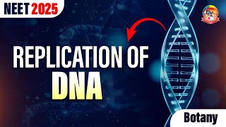 Replication of DNA  Molecular Basis of Inheritance  NEET 2025  srichaitanyagosala [upl. by Hairem]