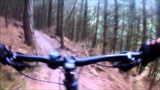 Cannock Chase MTB Monkey Trail  Le Singe Noir [upl. by Walker]