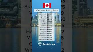 One Bedroom Asking Rents in Canada  August 2024 housingmarket rentals apartments [upl. by Aiepoissac]