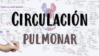 CIRCULACIÓN PULMONAR HIPERTENSIÓN PULMONAR [upl. by Eipper657]