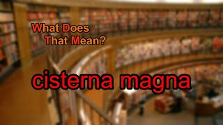 What does cisterna magna mean [upl. by Aikal786]