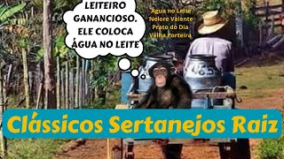 Clássicos Sertanejos Raiz 2 [upl. by Seerdi]