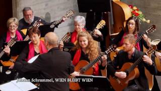 Orchestra mandolinistica di Lugano  Johann Schrammel Wien bleibt Wien arr Mauro Pacchin [upl. by Odrick]