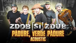 Zdob şi Zdub — Pădure verde pădure acoustic live [upl. by Drislane]