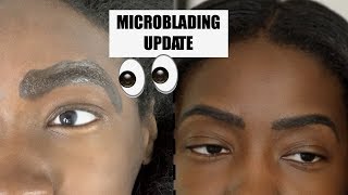 Microblading After 3 Months  Updated Brow Routine [upl. by Yeleak]