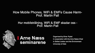 Hur mobilstrålning WiFi amp EMF skadar oss Prof Martin Pall  How WiFi amp EMFs Cause Harm [upl. by Evelin9]