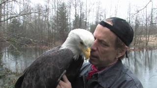 A Visit with Freedom  A rainy day in Arlington WA [upl. by Fauch]