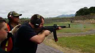 STG44 full auto [upl. by Verne]