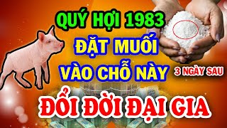 Hé Lộ Chấn Động Quý Hợi 1983 Rắc Muối Vào Đây Đúng 3 Ngày Sau ĐỔI ĐỜI Giàu To Tiền Nhét Nứt Két [upl. by Branch]