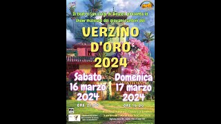 Spettacolo Verzino dOro marzo 2024  video integrale [upl. by Nnaoj654]