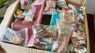 Unboxing Sylvanian Families haul 📦 ASMR [upl. by Annovy575]