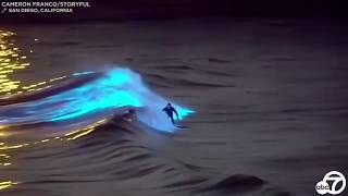 Bioluminescent waves Surfers ride glowing waters off San Clemente San Diego coasts  ABC7 [upl. by Brittani]