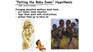 Dean Falks Putting the Baby Down Hypothesis [upl. by Aley]