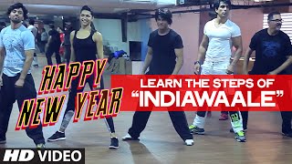 OFFICIAL Learn India Waale DANCE STEPS with Shahrukh Khan  Happy New Year [upl. by Dinan11]