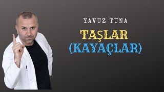 TAŞLAR VE KAYAÇLAR tytcoğrafya aytcoğrafya coğrafya [upl. by Hannaj]