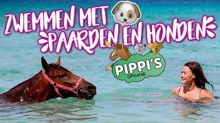 Ezel naar kliniek zwemmen met paarden en Jip valt aan  felinehoi [upl. by Beller]