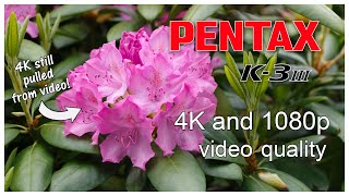 PENTAX K3 Mark III ■ Impression ■ Ben Navez turn the CC on [upl. by Lonni]