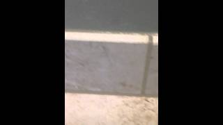 How to grout a tile floor and base molding properly [upl. by Bruner399]