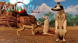 Meerkat Madness  Animalia Survival Update 1161 New Mechanics And Omnivirous Creatures [upl. by Jany783]