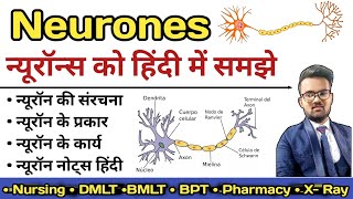 Neurone in hindi  Structure of Neurone  Sensory and Motor Neurones  Types of Neurone [upl. by Hayarahs]