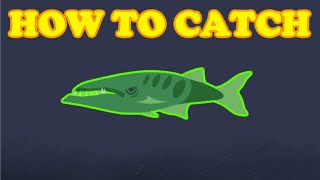 Cat goes fishing HOW TO CATCH CUDA [upl. by Nimocks]