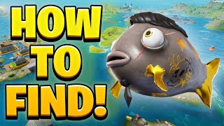 How To EASILY Find The Midas Fish In Fortnite Midas Flopper [upl. by Nedlog578]