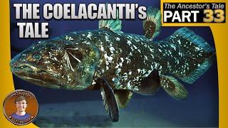 The Coelacanths Tale [upl. by Sturrock651]