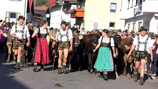 Viehscheid in Wertach Almabtrieb am 18092018 [upl. by Retsevlys]