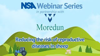 Reducing the risk of reproductive diseases in sheep [upl. by Kessia695]