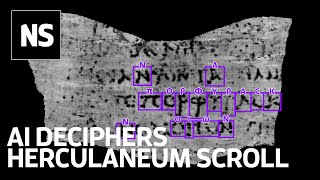 How ancient Herculaneum papyrus scrolls were deciphered [upl. by Nihahs]