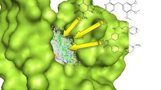 webinar recording structurebased design of riboswitch and kinase ligands [upl. by Nahor]